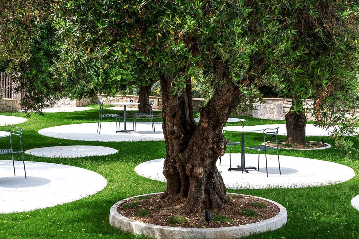 Oliveto A Mare - Suite & Apartment Ascea Exterior foto