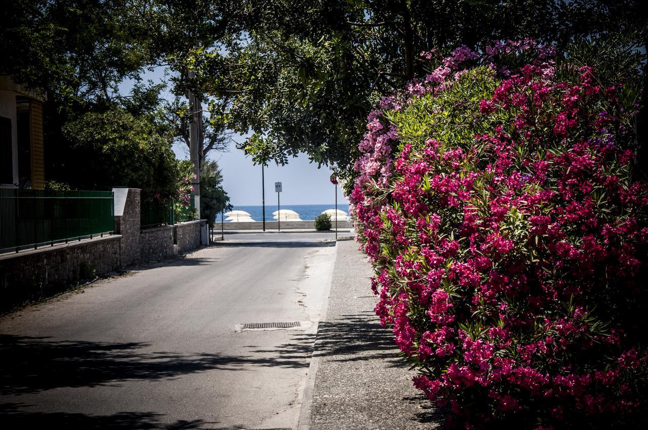 Oliveto A Mare - Suite & Apartment Ascea Exterior foto