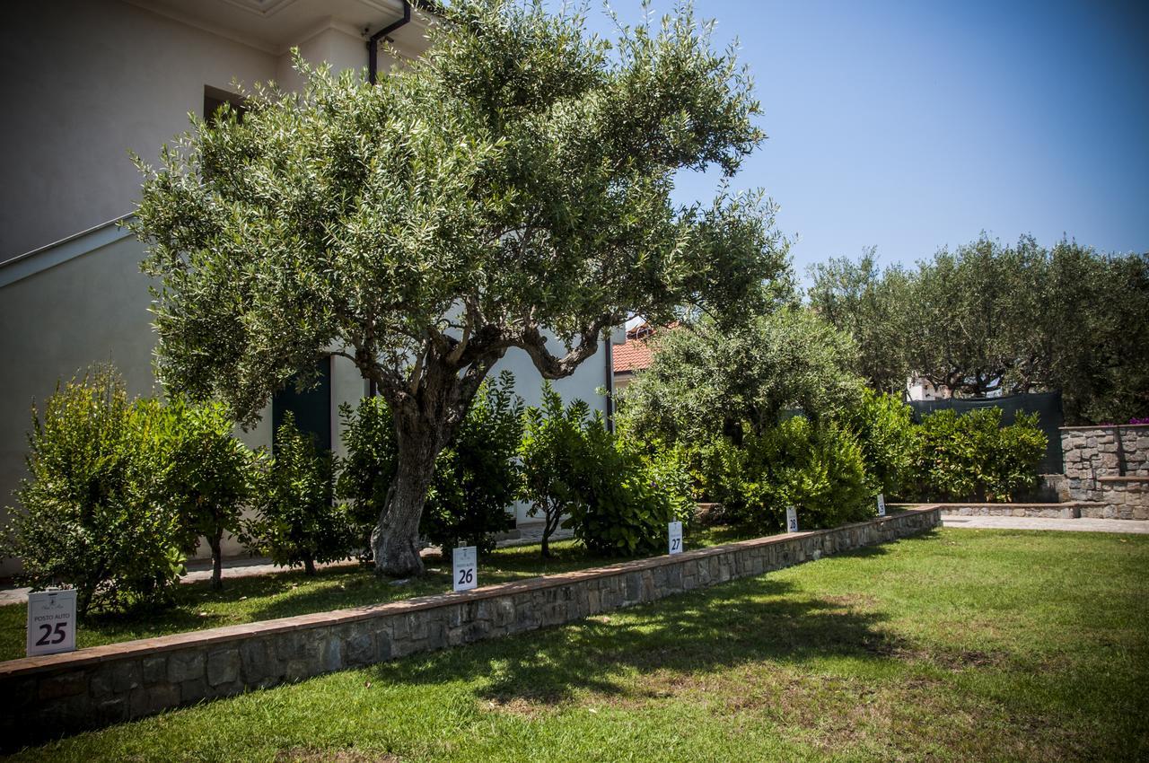 Oliveto A Mare - Suite & Apartment Ascea Exterior foto
