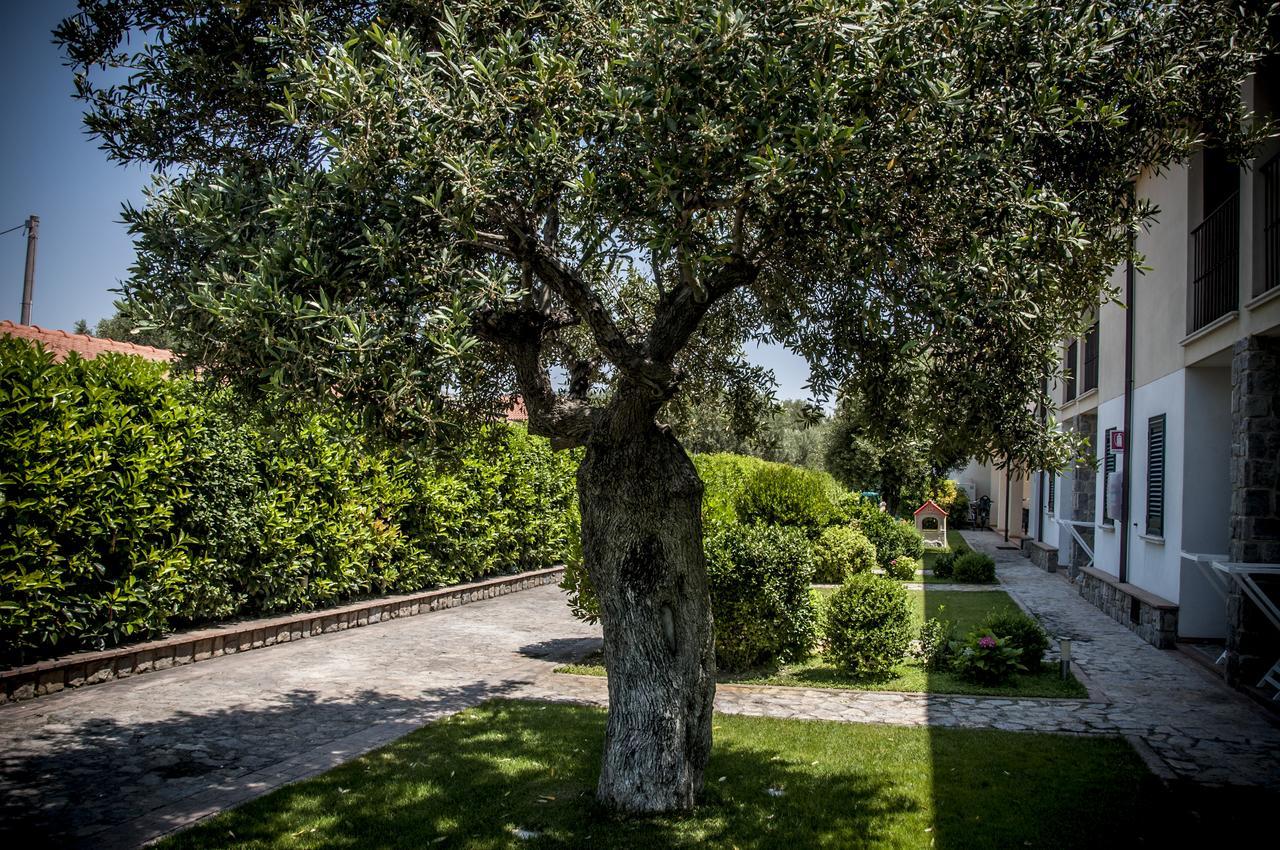 Oliveto A Mare - Suite & Apartment Ascea Exterior foto