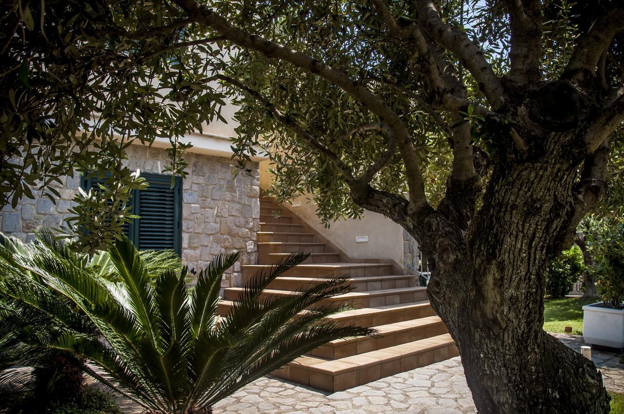 Oliveto A Mare - Suite & Apartment Ascea Exterior foto