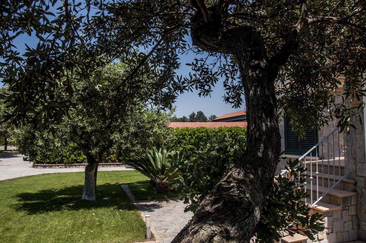 Oliveto A Mare - Suite & Apartment Ascea Exterior foto