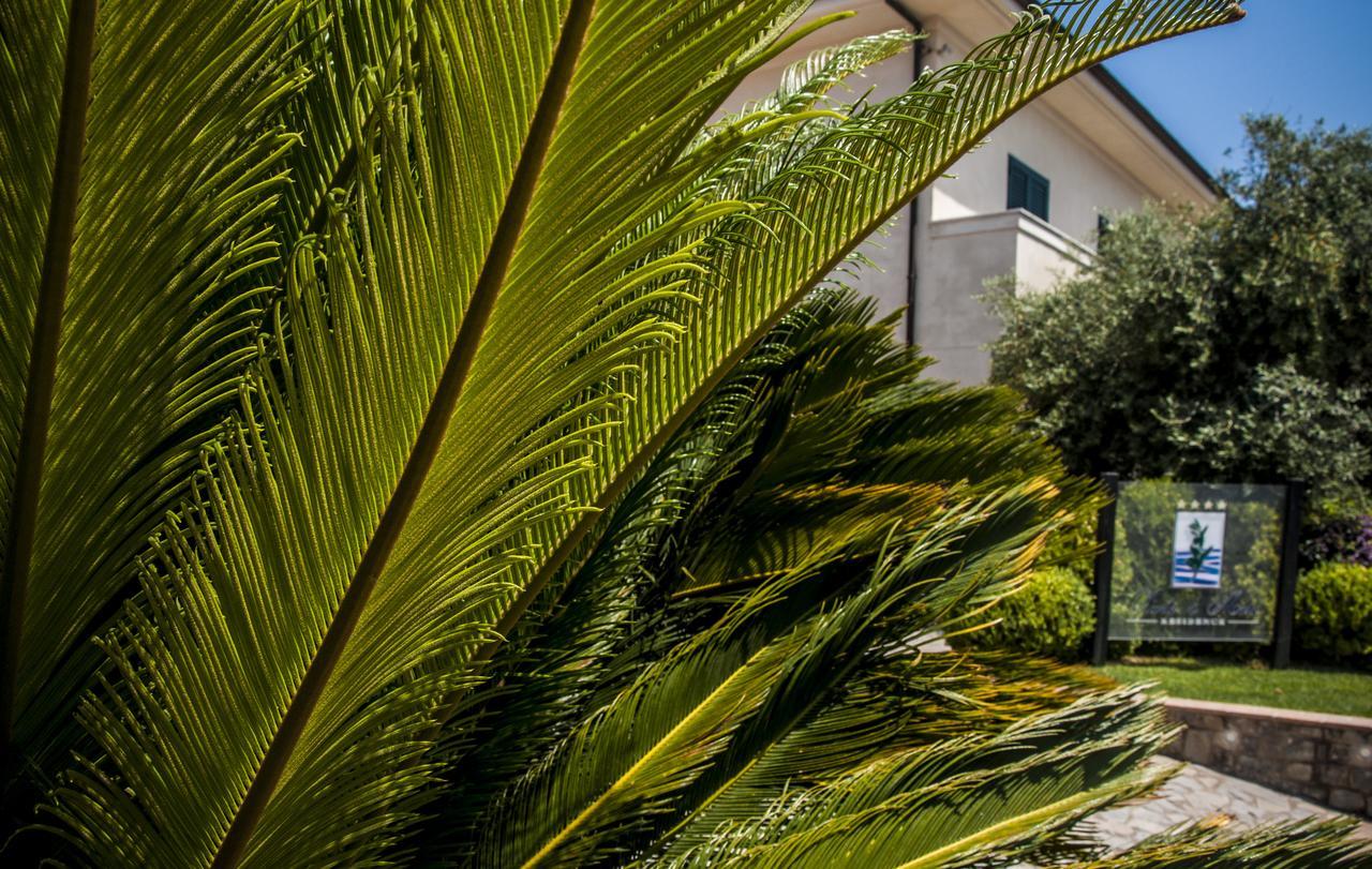 Oliveto A Mare - Suite & Apartment Ascea Exterior foto